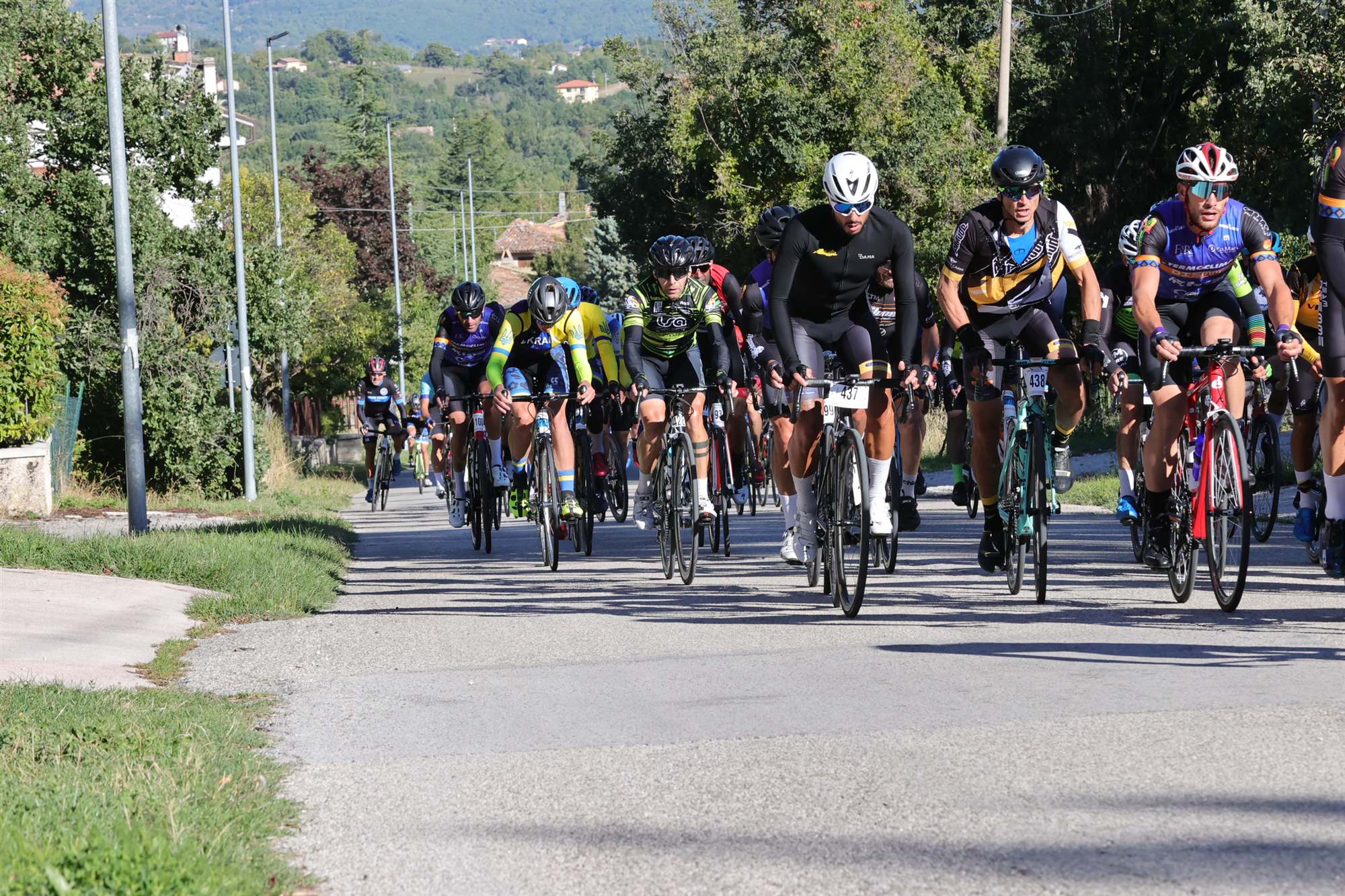 Un gruppo di ciclisti in salita su una strada alberata
